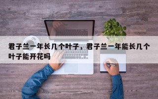 君子兰一年长几个叶子，君子兰一年能长几个叶子能开花吗