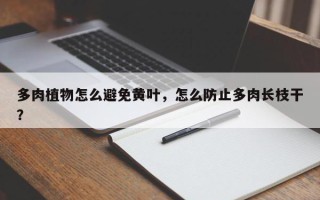 多肉植物怎么避免黄叶，怎么防止多肉长枝干？
