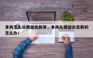 多肉怎么从根部出新芽，多肉从根部长出新的怎么办！