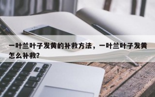 一叶兰叶子发黄的补救方法，一叶兰叶子发黄怎么补救？