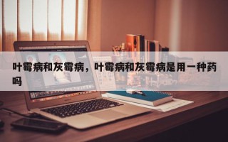 叶霉病和灰霉病，叶霉病和灰霉病是用一种药吗