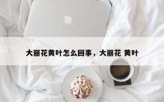 大丽花黄叶怎么回事，大丽花 黄叶