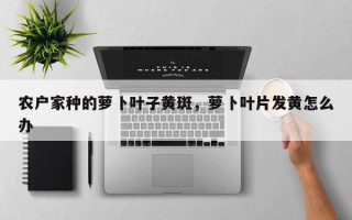 农户家种的萝卜叶子黄斑，萝卜叶片发黄怎么办
