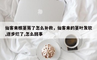 仙客来根茎蔫了怎么补救，仙客来的茎叶发软,逐步烂了,怎么回事