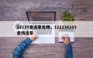 12135查违章处理，121236103查询违章