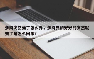 多肉突然蔫了怎么办，多肉养的好好的突然就蔫了是怎么回事？