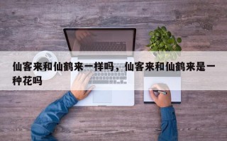 仙客来和仙鹤来一样吗，仙客来和仙鹤来是一种花吗