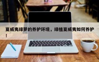 夏威夷绿萝的养护环境，绿植夏威夷如何养护！
