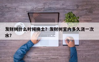 发财树什么时候换土？发财树室内多久浇一次水？