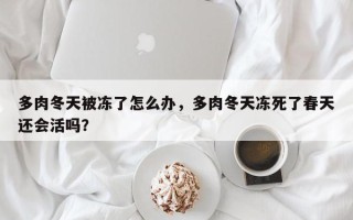 多肉冬天被冻了怎么办，多肉冬天冻死了春天还会活吗？