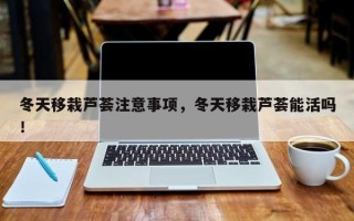 冬天移栽芦荟注意事项，冬天移栽芦荟能活吗！