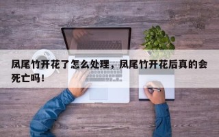 凤尾竹开花了怎么处理，凤尾竹开花后真的会死亡吗！