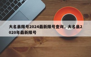 大名县限号2024最新限号查询，大名县2020年最新限号