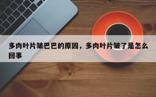 多肉叶片皱巴巴的原因，多肉叶片皱了是怎么回事