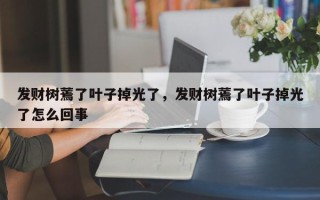 发财树蔫了叶子掉光了，发财树蔫了叶子掉光了怎么回事