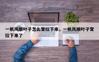 一帆风顺叶子怎么耷拉下来，一帆风顺叶子耷拉下来了