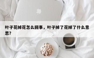 叶子花掉花怎么回事，叶子掉了花掉了什么意思？