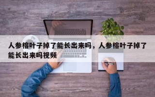人参榕叶子掉了能长出来吗，人参榕叶子掉了能长出来吗视频