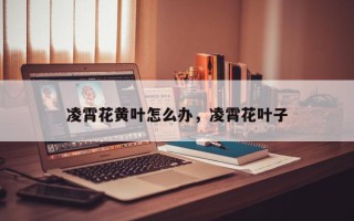 凌霄花黄叶怎么办，凌霄花叶子