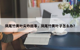 凤尾竹黄叶尖咋回事，凤尾竹黄叶子怎么办？