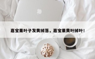 嘉宝果叶子发黄掉落，嘉宝果黄叶掉叶！
