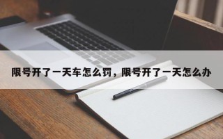 限号开了一天车怎么罚，限号开了一天怎么办