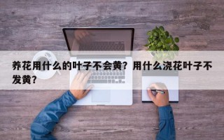 养花用什么的叶子不会黄？用什么浇花叶子不发黄？
