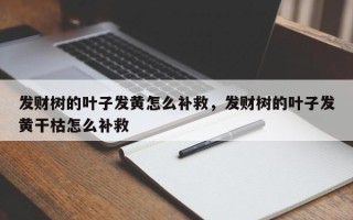 发财树的叶子发黄怎么补救，发财树的叶子发黄干枯怎么补救