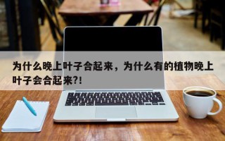 为什么晚上叶子合起来，为什么有的植物晚上叶子会合起来?！