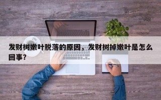 发财树嫩叶脱落的原因，发财树掉嫩叶是怎么回事？