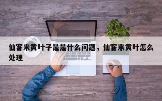仙客来黄叶子是是什么问题，仙客来黄叶怎么处理