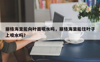 丽格海棠能向叶面喷水吗，丽格海棠能往叶子上喷水吗？