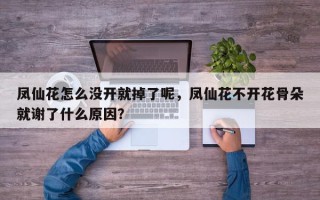 凤仙花怎么没开就掉了呢，凤仙花不开花骨朵就谢了什么原因？
