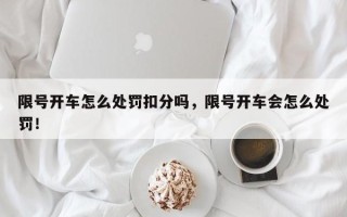 限号开车怎么处罚扣分吗，限号开车会怎么处罚！