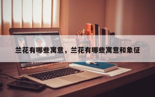 兰花有哪些寓意，兰花有哪些寓意和象征