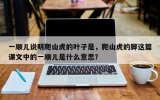 一顺儿说明爬山虎的叶子是，爬山虎的脚这篇课文中的一顺儿是什么意思？