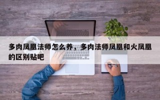多肉凤凰法师怎么养，多肉法师凤凰和火凤凰的区别贴吧