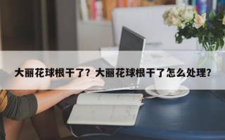 大丽花球根干了？大丽花球根干了怎么处理？