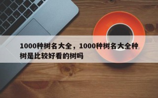 1000种树名大全，1000种树名大全种树是比较好看的树吗