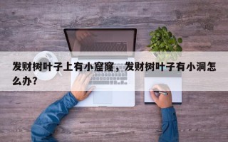发财树叶子上有小窟窿，发财树叶子有小洞怎么办？