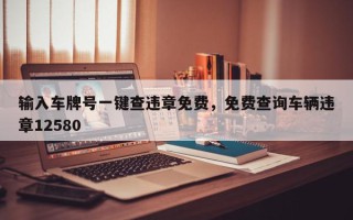 输入车牌号一键查违章免费，免费查询车辆违章12580