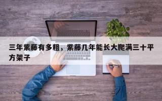 三年紫藤有多粗，紫藤几年能长大爬满三十平方架子