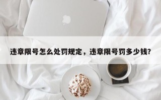 违章限号怎么处罚规定，违章限号罚多少钱？