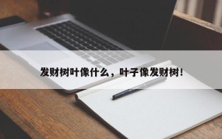 发财树叶像什么，叶子像发财树！
