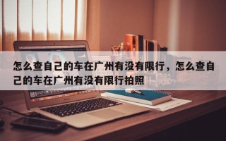 怎么查自己的车在广州有没有限行，怎么查自己的车在广州有没有限行拍照