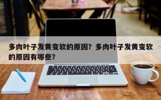多肉叶子发黄变软的原因？多肉叶子发黄变软的原因有哪些？
