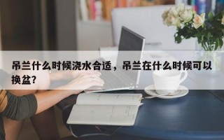 吊兰什么时候浇水合适，吊兰在什么时候可以换盆？