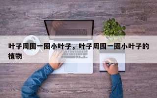 叶子周围一圈小叶子，叶子周围一圈小叶子的植物