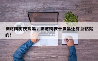 发财树树枝变黑，发财树枝干发黑还有点黏黏的！