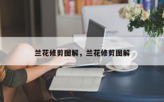 兰花修剪图解，兰花修剪图解